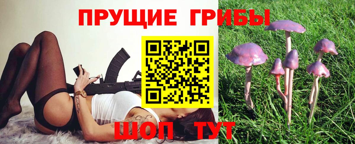 Псилоцибиновые грибы Psilocybine cubensis Донецк
