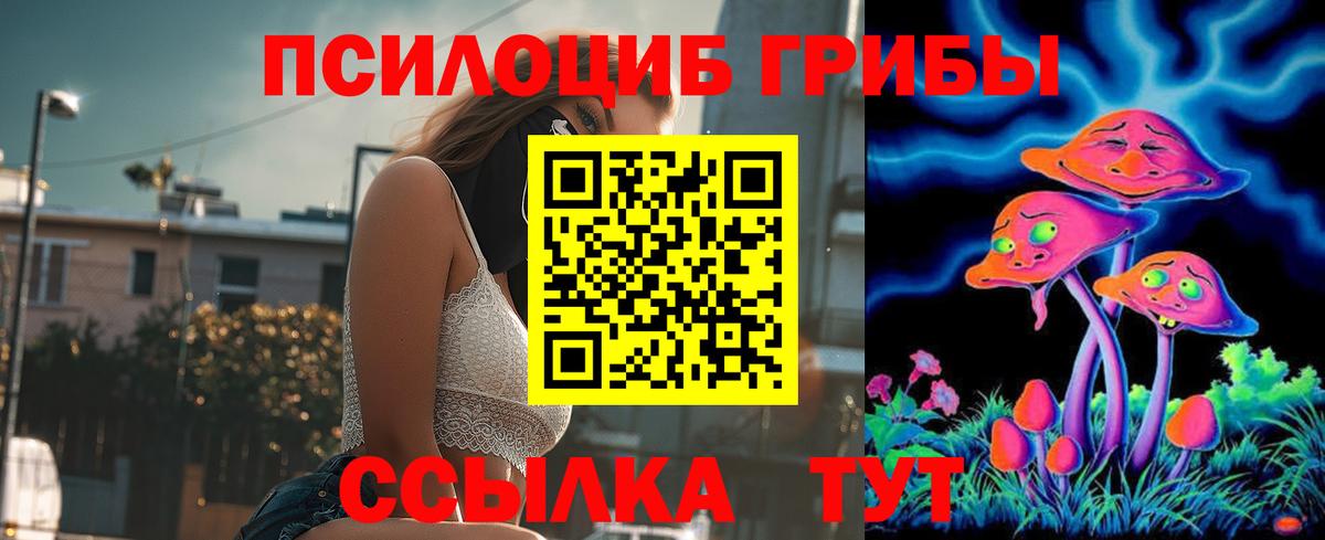 Псилоцибиновые грибы прущие грибы  Псилоцибиновые грибы Psilocybe  Донецк  Вход с VPN 